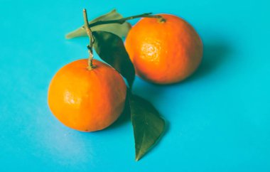 Taze, sulu mandalina, safra kesesi için mandalina meyveli tatlı.