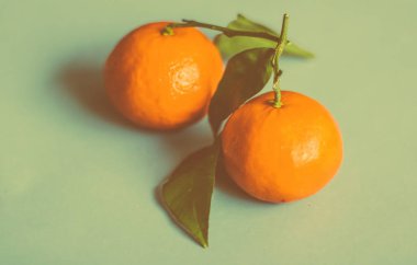 Taze, sulu mandalina, safra kesesi için mandalina meyveli tatlı.