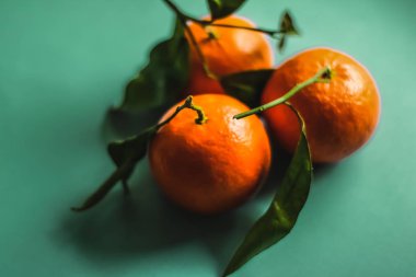 Taze, sulu mandalina, safra kesesi için mandalina meyveli tatlı.