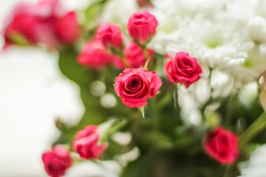 Bahar çiçekleri çiçek açıyor, soyut çiçek sanatı geri dönüyor.