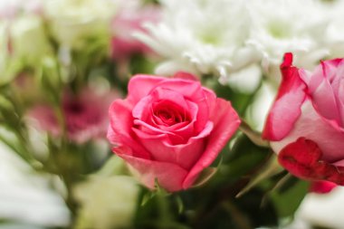 Bahar çiçekleri çiçek açıyor, soyut çiçek sanatı geri dönüyor.