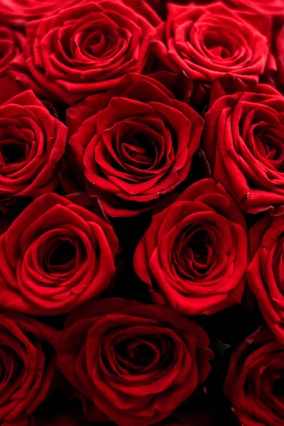 Роскошный букет из красных роз, цветущих цветов, как флора — стоковое фото