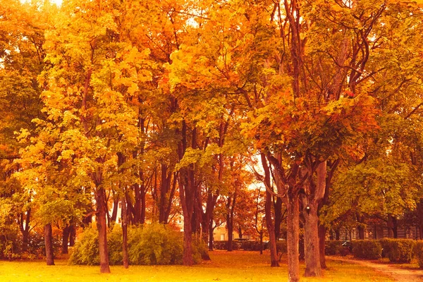 Sezonowe Podróże Retro Tło Koncepcja Środowiska Wiejskiego Piękne Jesienne Tło — Zdjęcie stockowe