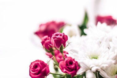 Flora, markalaşma ve aşk konsepti - Bahar çiçeği çiçek buketi, soyut çiçek çiçeği sanat arka planı, kadınların günü çiçek hediyesi, parfüm kokusu, düğün, lüks tatil tasarımı