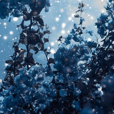 Mavi çiçekli arka plan, çiçek açan ağaç ve karlı çiçekler, tatiller için ışıltı, büyülü kış