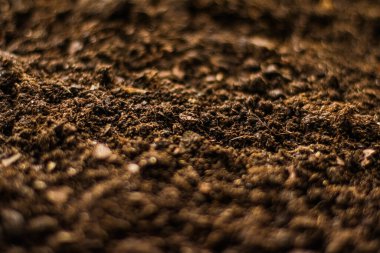 Dünya zemin dokusu arka plan, doğa ve çevresel zemin olarak