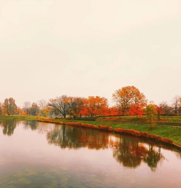 Pôr do sol no rio no parque, natureza de outono — Fotografia de Stock