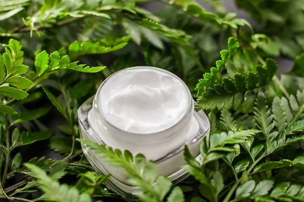 Gesichtscreme Feuchtigkeitscreme Glas im grünen Garten, natürliche pflanzliche Hautpflege Kosmetik und Bio-Anti-Aging-Produkt für Gesundheit und Schönheit — Stockfoto