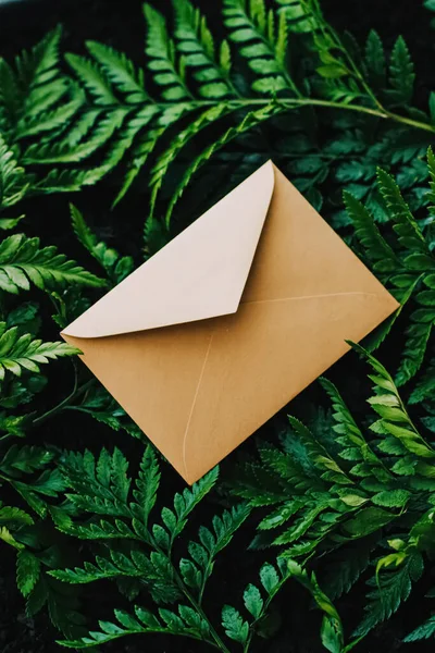 Boş zarf ve yeşil yapraklar doğada, arka plan olarak kağıt kart, yazışma ve bülten — Stok fotoğraf