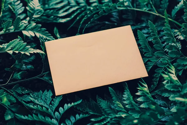 Envelope em branco e folhas verdes na natureza, cartão de papel como fundo, correspondência e boletim informativo — Fotografia de Stock