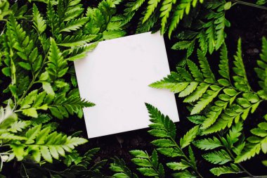 Yeşil çim arka planda boş kart, markalaşma