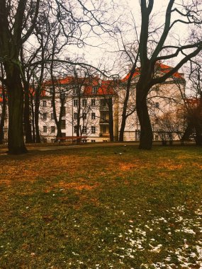 Parkta sonbahar doğası, dışarıda yapraklar ve ağaçlar.