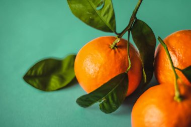 Taze mandalina, organik turunçgiller ve doğal yiyecekler.