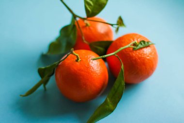 Taze mandalina, organik turunçgiller ve doğal yiyecekler.