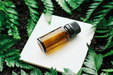 Yeşil bir tropikal bahçede bir şişe bitkisel yağ, doğal koku ve organik kozmetik