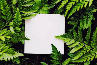 Yeşil çim arka planda boş kart, markalaşma