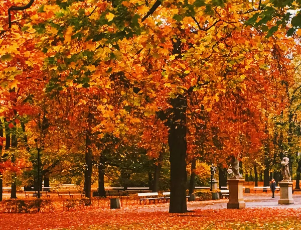 Natureza de outono no parque, folhas de queda e árvores ao ar livre — Fotografia de Stock