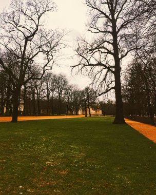 Parkta sonbahar doğası, dışarıda yapraklar ve ağaçlar.