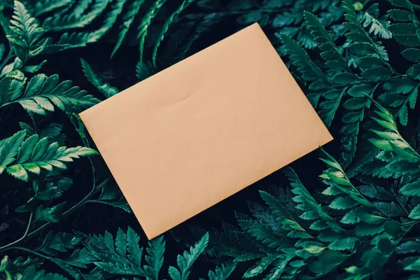 Blank envelope and green leaves in nature, paper card as background, correspondence and newsletter — Stock fotografie