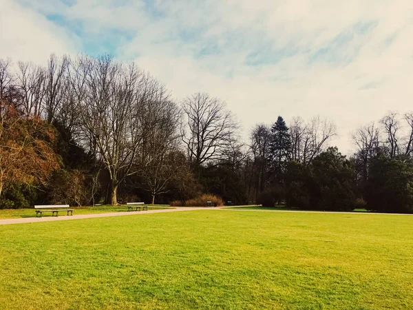 公園の秋の自然、秋の葉や木の屋外 — ストック写真