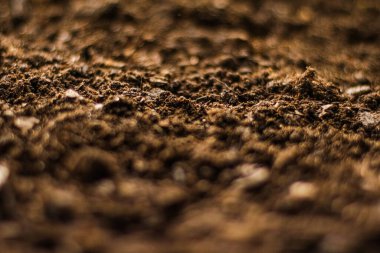 Toprak zemin dokusu arka plan, doğa ve çevre olarak