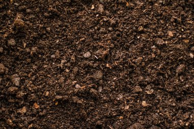 Toprak zemin dokusu arka plan, doğa ve çevre olarak