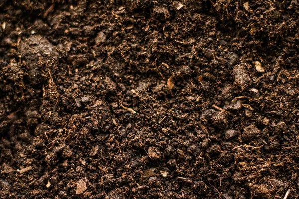 Tekstur tanah bumi sebagai latar belakang, alam, dan lingkungan — Stok Foto