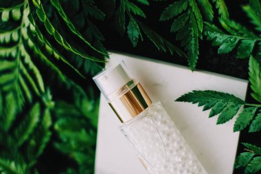 Lüks cilt nemlendirici serum jeli yeşil bahçe, doğal bitkisel kozmetik ürünler ve sağlık ve güzellik için organik yaşlanma karşıtı ürünler.