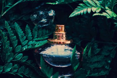 Doğada tropik bir koku olan parfüm şişesi, lüks yaz parfümü.