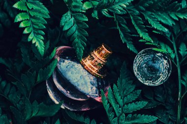 Doğada tropik bir koku olan parfüm şişesi, lüks yaz parfümü.