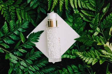 Lüks cilt nemlendirici serum jeli yeşil bahçe, doğal bitkisel kozmetik ve sağlık ve güzellik için organik yaşlanmayı önleyici ürün.