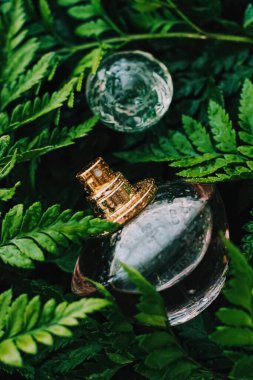 Parfüm şişesi, doğada tropik bir koku, lüks bir koku.
