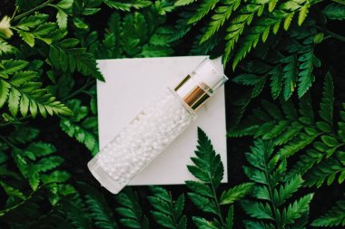 Lüks cilt nemlendirici serum jeli yeşil bahçe, doğal bitkisel kozmetik ve sağlık ve güzellik için organik yaşlanmayı önleyici ürün.