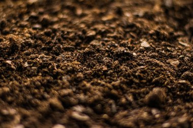 Toprak zemin dokusu arka plan, doğa ve çevre olarak