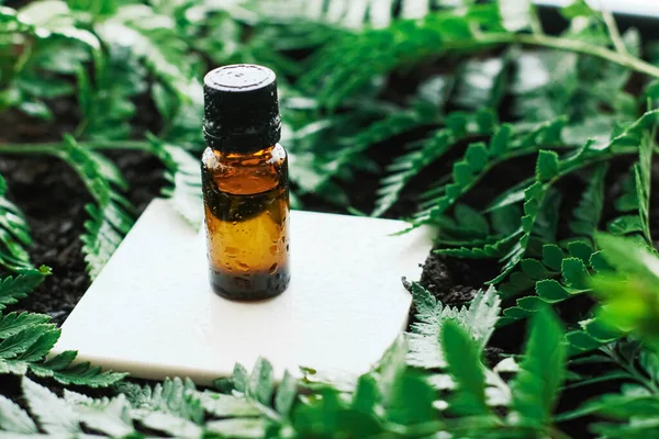 Bottle of herbal essential oil in a green tropical garden, natural scent and organic cosmetics