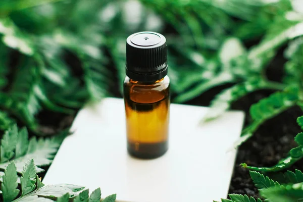 Bottle of herbal essential oil in a green tropical garden, natural scent and organic cosmetics — Stock Photo, Image