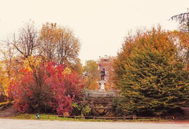 Parkta sonbahar doğası, Milano 'da yapraklar ve ağaçlar, Kuzey İtalya' da Lombardiya bölgesi