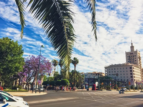 Parques públicos y calles de Málaga, la capital de la región de Andalucía en España, destino del sur de Europa —  Fotos de Stock