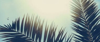 Sıcak yaz gününde tropikal palmiye yaprakları bağbozumu arka plan, yaz doğası ve seyahat gibi