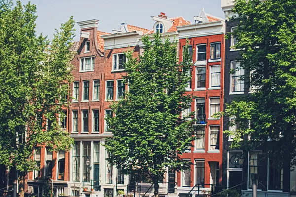 Calle principal del centro en el centro de Ámsterdam en los Países Bajos — Foto de Stock