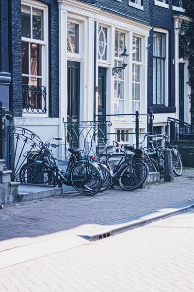 Calle principal del centro en el centro de Ámsterdam en los Países Bajos — Foto de Stock