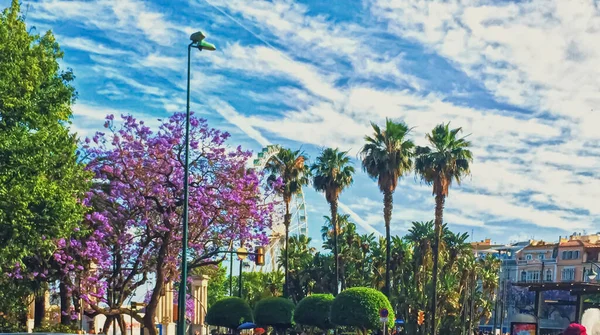 Parques públicos y calles de Málaga, la capital de la región de Andalucía en España, destino del sur de Europa —  Fotos de Stock