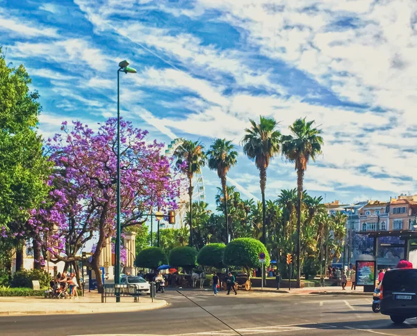 Public parks and streets of Malaga, the capital city of Andalucia region in Spain, Southern European destination — Stock Photo, Image