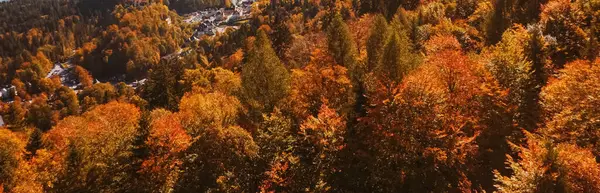 Hermosa naturaleza de los Alpes europeos, vista del paisaje de las montañas alpinas, lago y pueblo en la temporada de otoño, viajes y destino —  Fotos de Stock