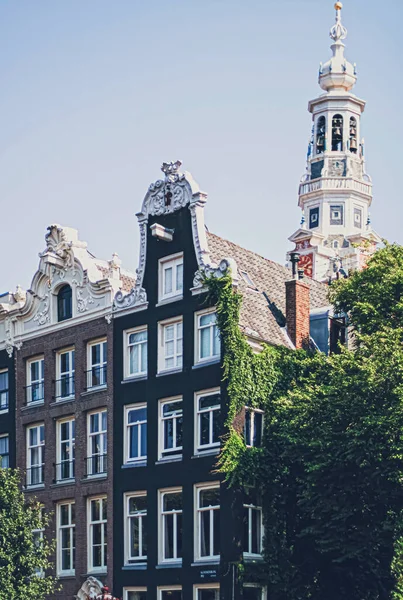 Calle principal del centro en el centro de Ámsterdam en los Países Bajos — Foto de Stock