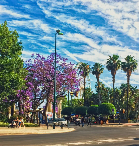 Parques públicos y calles de Málaga, la capital de la región de Andalucía en España, destino del sur de Europa —  Fotos de Stock