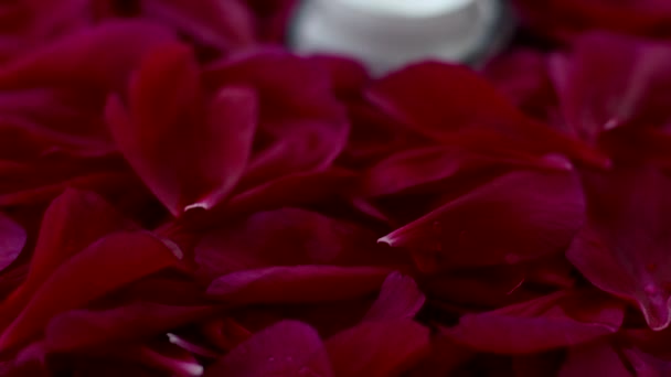 Яр зволожуючого крему для обличчя та пелюсток квітів, розкішного скінарію та косметики — стокове відео