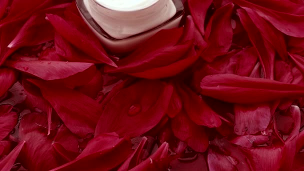 Банка крема для лица увлажняющий крем и лепестки цветов, роскошная кожа и косметика — стоковое видео