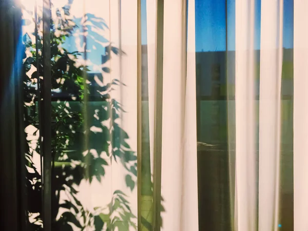 Занавески на окне на закате — стоковое фото