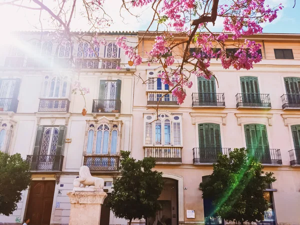 Malaga sokakları, İspanya 'nın başkenti Andalucia bölgesi, Güney Avrupa mimarisi ve tarihi binalar — Stok fotoğraf